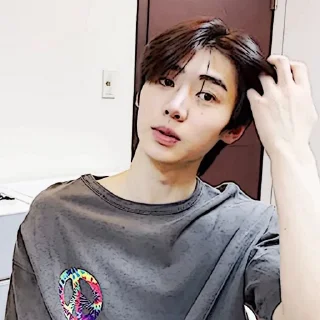 🧩 emoji sunghoon :: @gudangnyastikerrp Telegram sticker 15 of 32