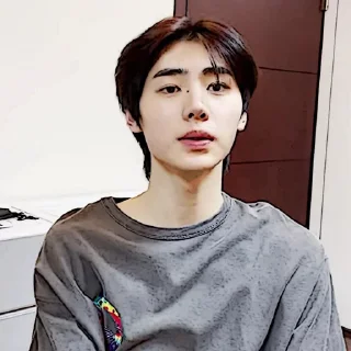 🧩 emoji sunghoon :: @gudangnyastikerrp Telegram sticker 22 of 32