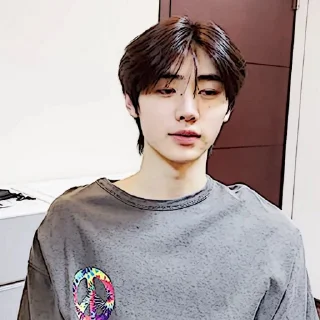 🧩 emoji sunghoon :: @gudangnyastikerrp Telegram sticker 11 of 32