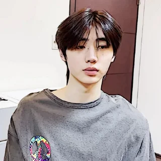 🧩 emoji sunghoon :: @gudangnyastikerrp Telegram sticker 18 of 32