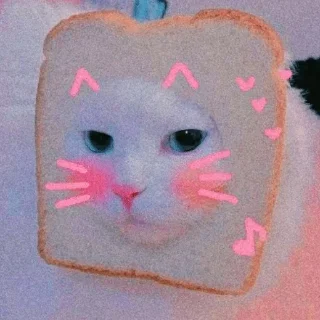 🐣 emoji 🐈✨  | @Teton_XD ㅤ ⁪⁬⁮⁮⁮⁮ ‌ㅤ ⁪⁬⁮⁮⁮⁮ ‌ ㅤ ⁪⁬⁮⁮⁮⁮ ‌ㅤ ⁪⁬⁮⁮⁮⁮ ‌ㅤ ⁪⁬⁮⁮⁮ Telegram sticker 5 of 30