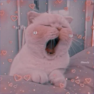💞 emoji @wallpaper_kid cute cat😺 @Anime_Sticker_noob Telegram sticker 20 of 120