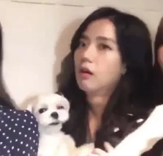 🐕‍🦺 emoji Jisoo Telegram sticker 9 of 14