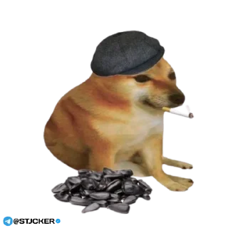 🚬 emoji Cʜᴇᴇᴍs Pᴀᴄᴋ ʙʏ @STJCKER ✨🥀 Telegram sticker 16 of 35