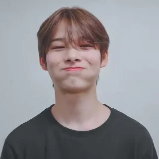Sticker from NI-KI ENHYPEN — @kingsigh