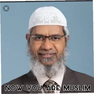 😁 emoji halal Telegram sticker 3 of 25