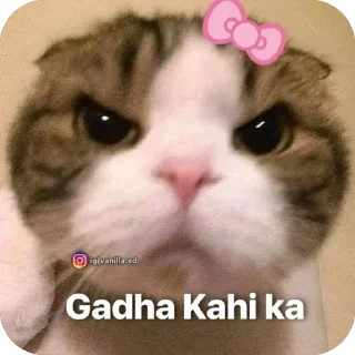 Sticker from Ayega toh billa he @r_squared_rishabh