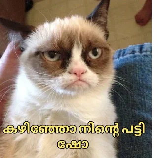 Sticker from @psybeast Vol.32
