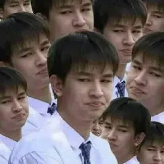 🚏 emoji THAI MEME – @BANGKOKPRIDE Telegram sticker 22 of 103