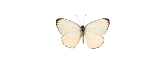 🏷 emoji With love, Paradise. Telegram sticker 13 of 13