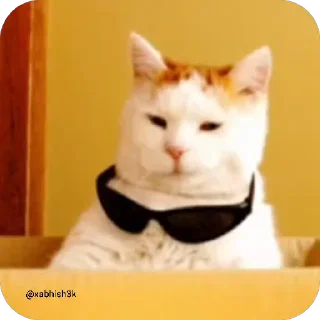 😺 emoji Cᴜᴛᴇ ᴄᴀᴛ @Sticker_Pack_channel — @stckrRobot Telegram sticker 11 of 51