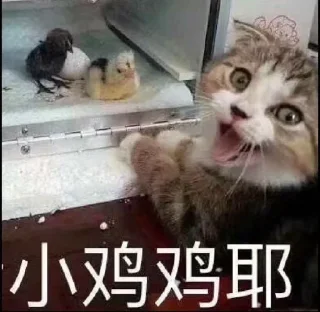 🙀 emoji 表情包1 Telegram sticker 12 of 116