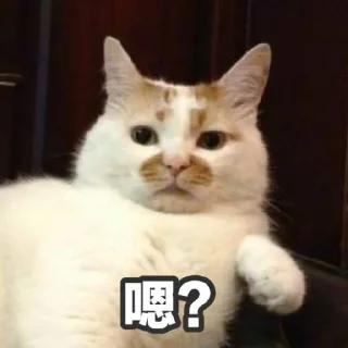 ❓ emoji 表情包1 Telegram sticker 5 of 116