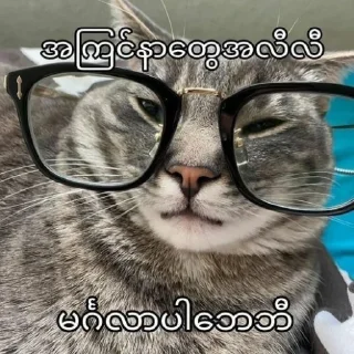 😎 emoji Your stickers - @my_stckers_bot Telegram sticker 13 of 114