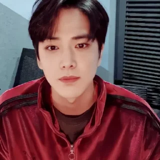 🐁 emoji YOUNGHOON @stickertheboyz Telegram sticker 22 of 33