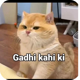 🐱 emoji Billa Telegram sticker 23 of 46