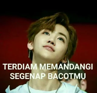 Sticker from punya sky cwe mingyu @Jeonmiisoo