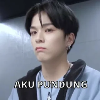 🙄 emoji punya sky cwe mingyu @Jeonmiisoo Telegram sticker 18 of 70