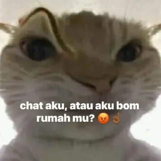 Sticker from punya sky cwe mingyu @Jeonmiisoo