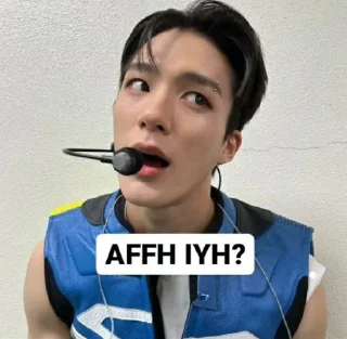 Sticker from punya sky cwe mingyu @Jeonmiisoo