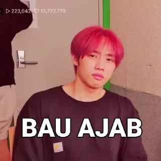 😂 emoji punya sky cwe mingyu @Jeonmiisoo Telegram sticker 17 of 70