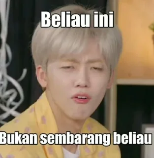 🙄 emoji punya sky cwe mingyu @Jeonmiisoo Telegram sticker 7 of 70