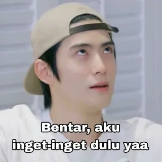 🤔 emoji punya sky cwe mingyu @Jeonmiisoo Telegram sticker 23 of 70