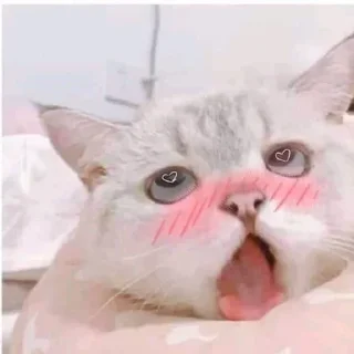🥵 emoji Your stickers - @my_stckers_bot Telegram sticker 8 of 79