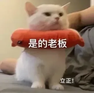 😬 emoji 七喜国际 @c07999 Telegram sticker 12 of 50