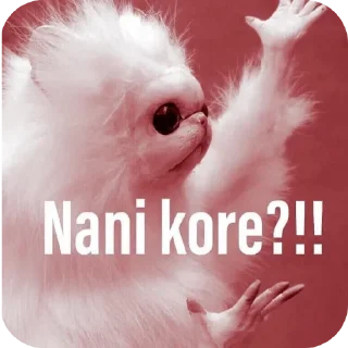 🐱 emoji @miss_choi Telegram sticker 8 of 36