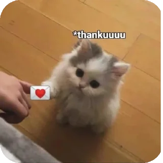 ✋ emoji 💕love yuji Telegram sticker 3 of 15