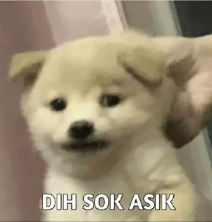 🙄 emoji punya ucell @Awinteoo Telegram sticker 15 of 67