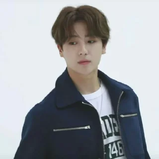 🤔 emoji hyunjae tbz @WOODZSTCAN Telegram sticker 11 of 24