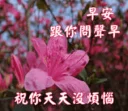 🏞 emoji 長輩圖 Telegram sticker 22 of 72