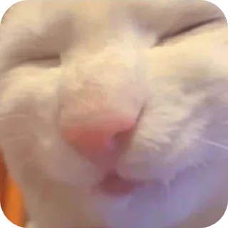 😙 emoji udin si tampan yang turun dari surga @Par4siteve Telegram sticker 22 of 38