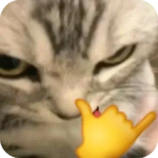 Sticker from By naomi ᥫ᭡