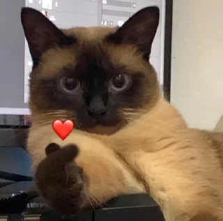 💗 emoji Your stickers - @my_stckers_bot Telegram sticker 12 of 32