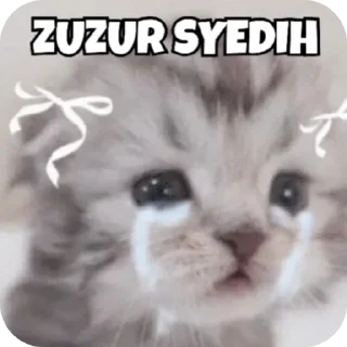 🐱 emoji punya kiyya,mau ngatain apa?? Telegram sticker 19 of 52