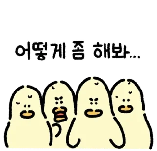 💬 emoji 접니다. 김바덕 By @KakaoEmoticon Telegram sticker 4 of 24