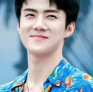 👍 emoji Sehun Telegram sticker 7 of 31