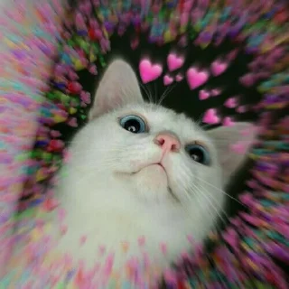 💗 emoji Your stickers - @my_stckers_bot Telegram sticker 21 of 117