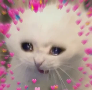 💓 emoji Your stickers - @my_stckers_bot Telegram sticker 22 of 117