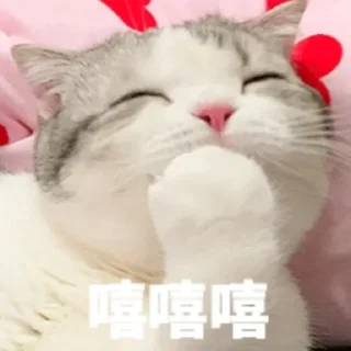 ❤️ emoji 奶酪猫 Telegram sticker 8 of 105