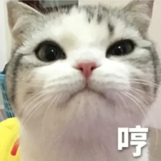 ❤️ emoji 奶酪猫 Telegram sticker 10 of 105