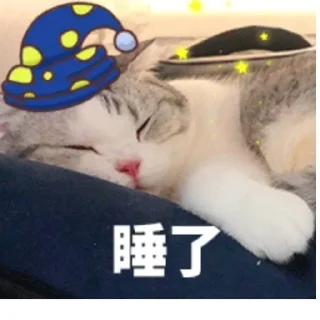 🌙 emoji 奶酪猫 Telegram sticker 12 of 105