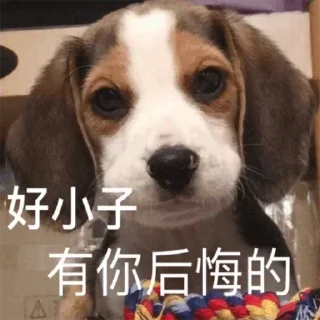 🤣 emoji 恭喜发财 @PYQDBQ Telegram sticker 18 of 108
