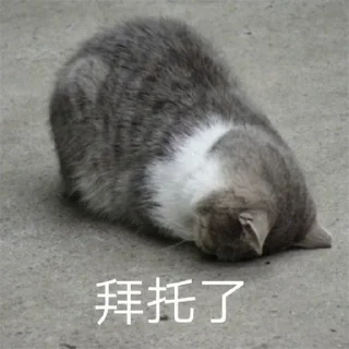 🤣 emoji 恭喜发财 @PYQDBQ Telegram sticker 5 of 108
