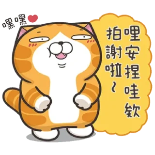 😏 emoji 白爛貓信息貼圖 Telegram sticker 22 of 24