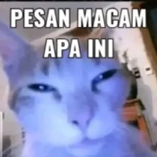 Sticker from 'Mystogan