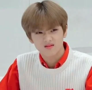 🐻 emoji @stickertheboyz Telegram sticker 11 of 71
